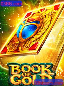 Explorando o Fascinante Jogo 'BookofGold' em 03BB.com